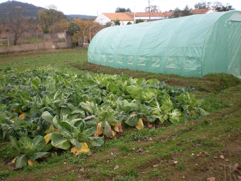 Willa Quinta Da Mina Monsanto Zewnętrze zdjęcie